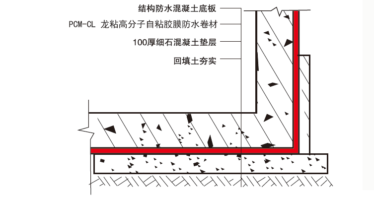 龙粘高分子自粘胶膜防水卷材